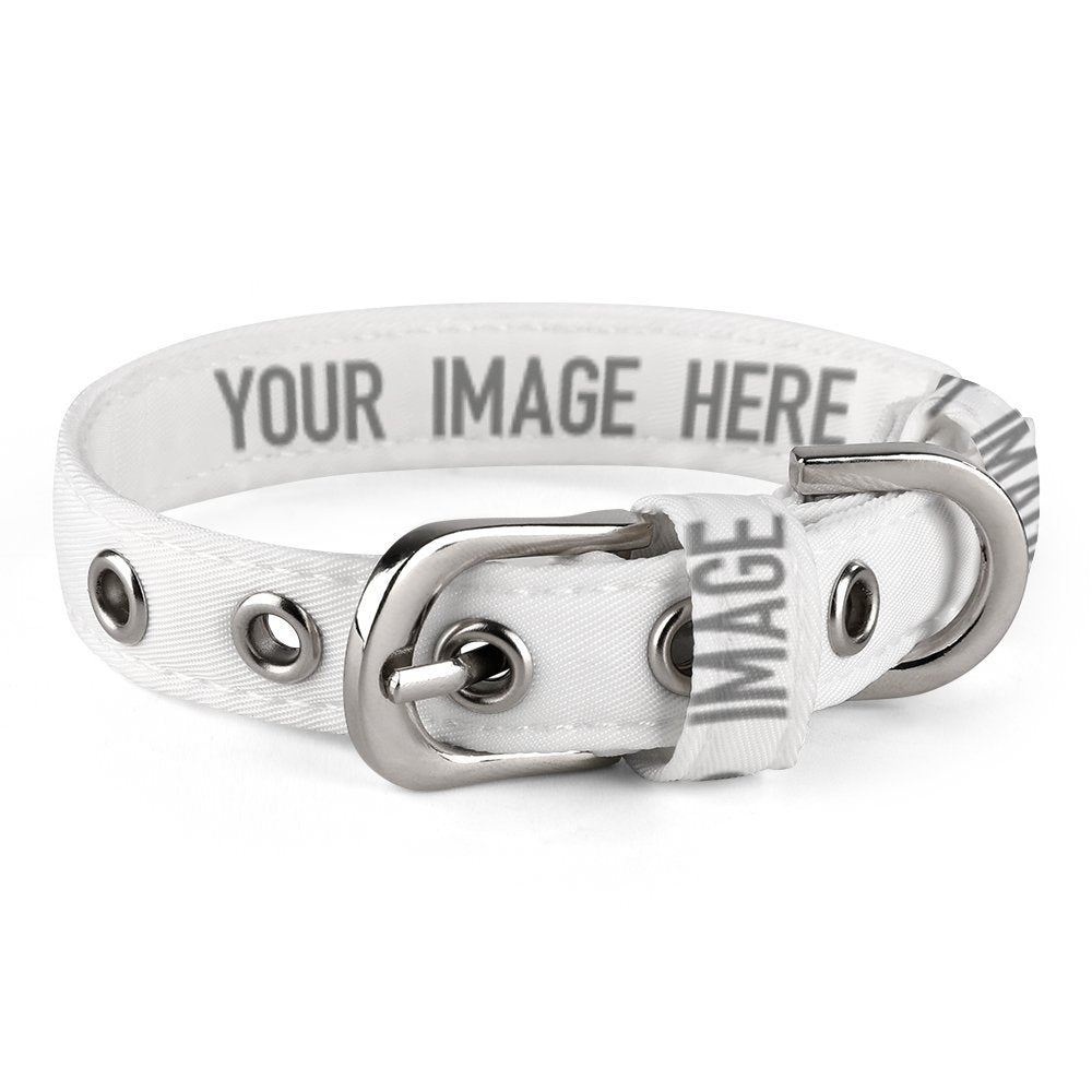 Pet Collar  Style One Size