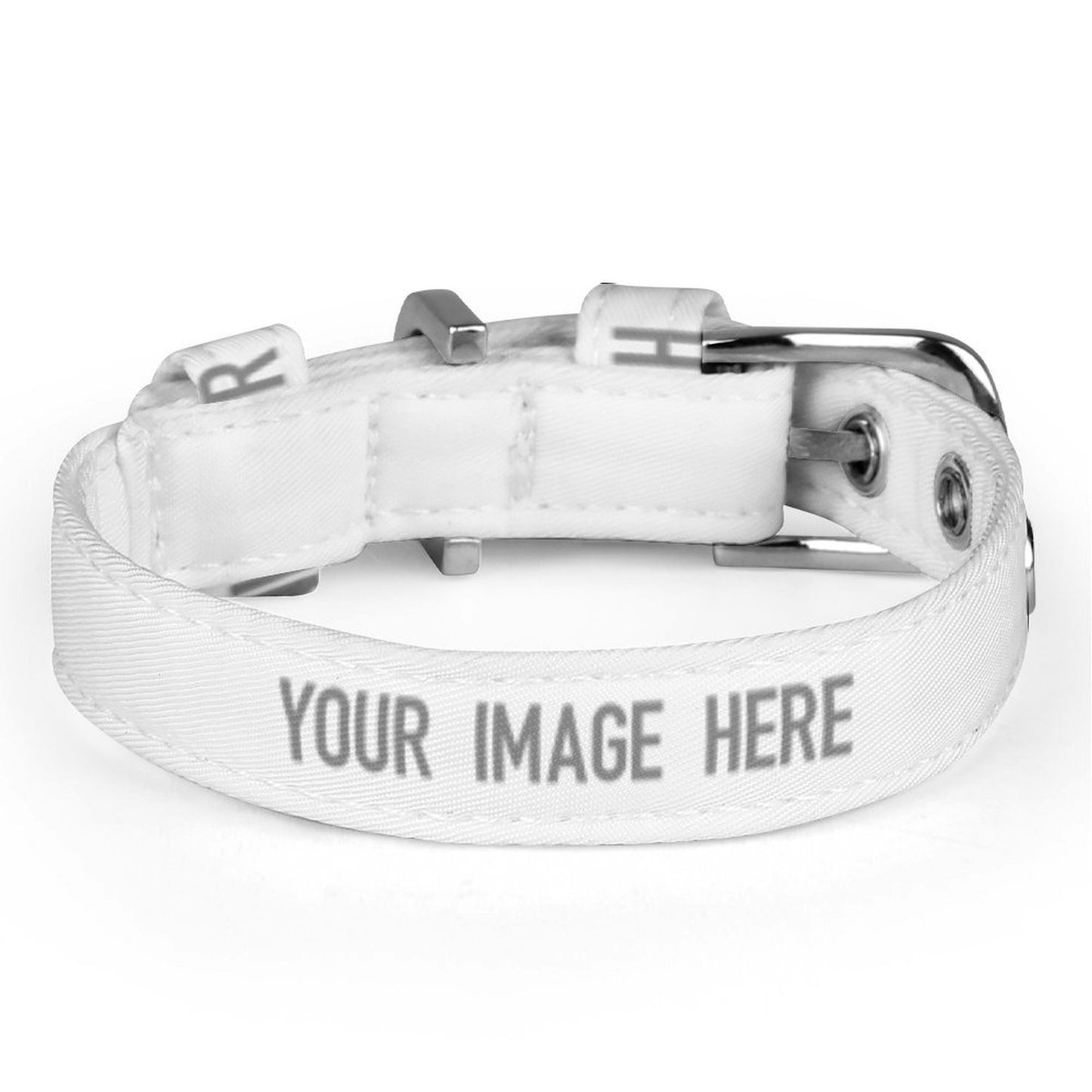 Pet Collar  Style One Size