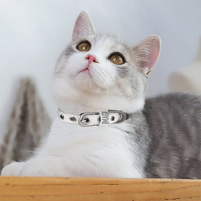 Pet Collar  Style One Size